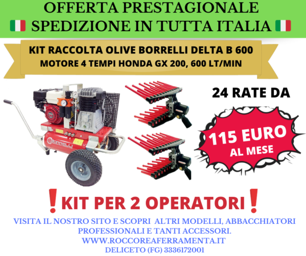 KIT RACCOLTA OLIVE BORRELLI DELTA B 600